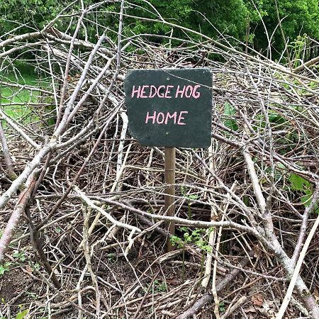 Hotel Genuine Gypsy Hut And Glamping Experience - In The Heart Of Cornwall Gunnislake Esterno foto